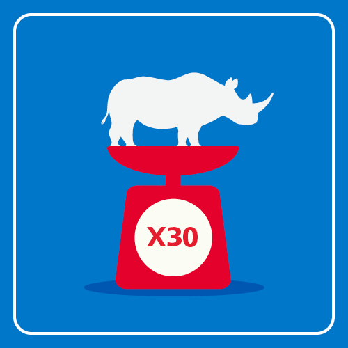 A rhino is standing on top of weighing scales which indicates the weight is 30 rhinos.