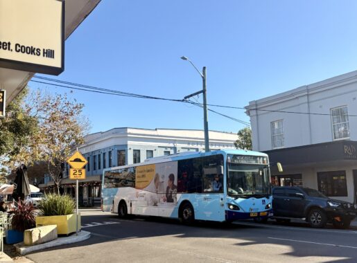 Route 14 Service Diversions – Darby Street Festival